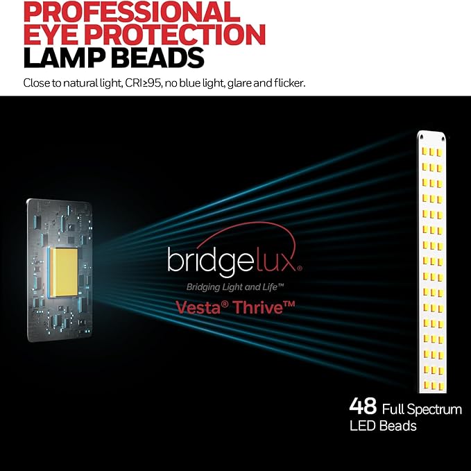 Honeywell LED Desk Lamp with USB Charging Ports - Image 2