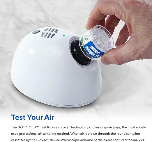 3 ROOM KIT | Test Your Air! Professional Quality Mold Test Kit - Image 4