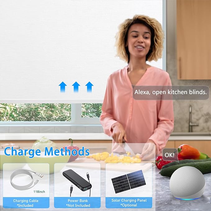 COOLWINDS Motorized Blinds - Image 5