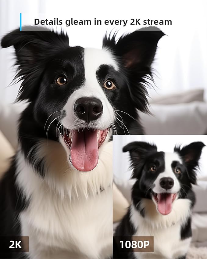 blurams 5G Indoor Cameras for Home Security, 2K Pet Camera - Image 5