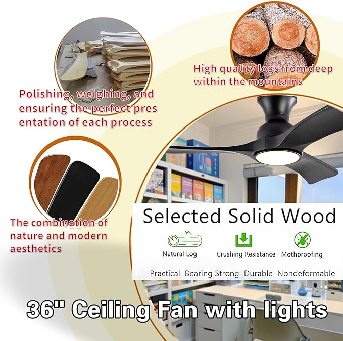 Gaizw 36 Inch Black Ceiling Fans - Image 3
