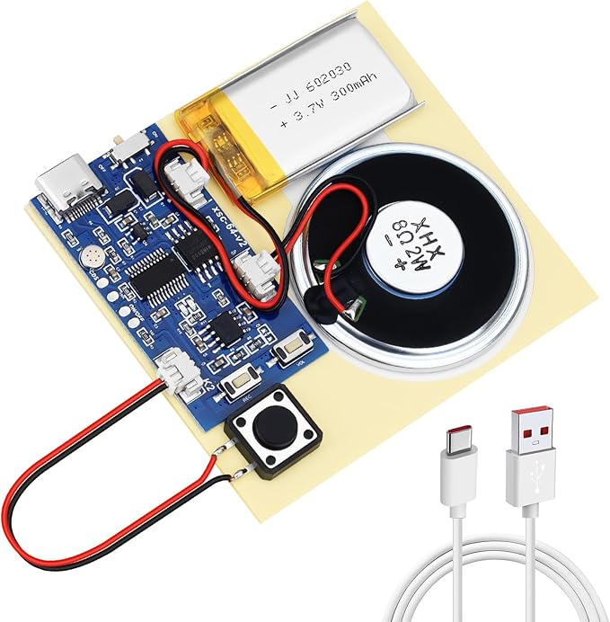 Sound Recorder Module DIY Music Voice Recording Module Chip by Unknown