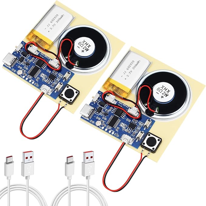 2PCS Sound Recorder Module DIY Music Voice Recording Module Chip by Unknown