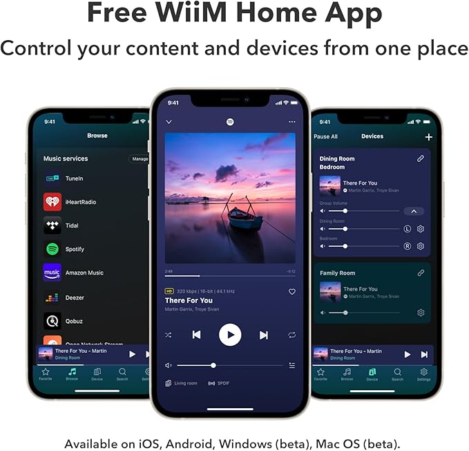 WiiM Pro Plus AirPlay 2 Receiver, Google Cast Audio, Voice Remote, Works - Image 6