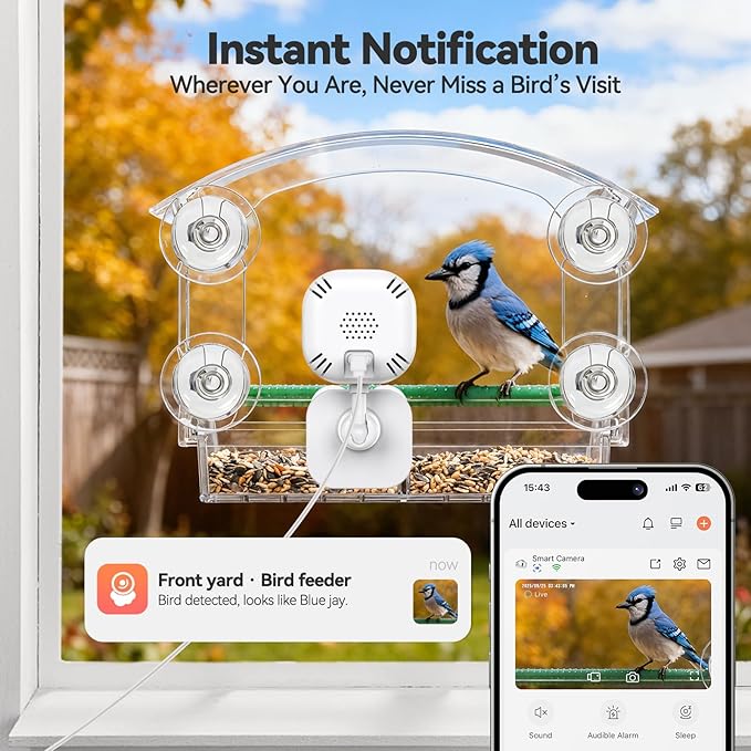 Dzees Smart Window Bird Feeder - Image 2