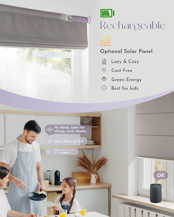 Graywind Smart Roman Shades Compatible - Image 3