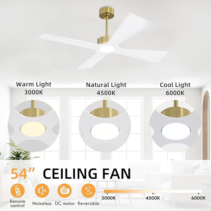 WINGBO 54" Wet Rated Outdoor Ceiling Fan - Image 5