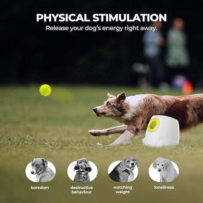 ALL FOR PAWS Automatic Ball Launcher for Dogs Interactive Puppy Pet Ball - Image 5