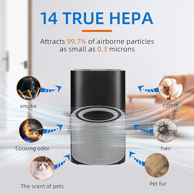 240 True HEPA Replacement Filter - Image 3