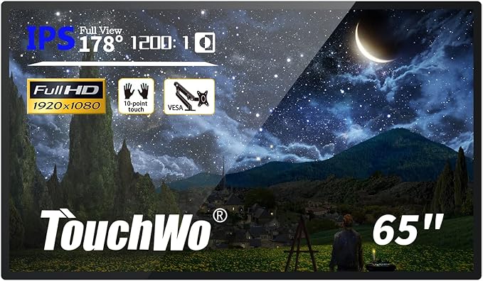 TouchWo 65-inch Interactive Touchscreen Monitor, Electronic Whiteboard Touch by TouchWo