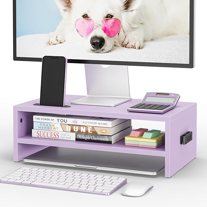 BONTEC Wooden Monitor Stand Riser, 2-Tier Desk Shelf by BONTEC