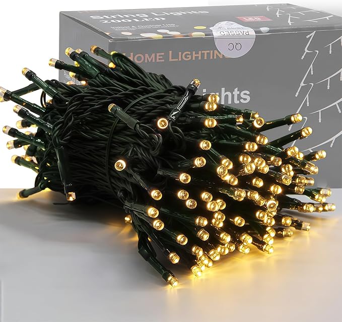 Home Lighting 66ft Christmas Decorative Mini Lights, 200 LED Green Wire Fairy by LJLNION