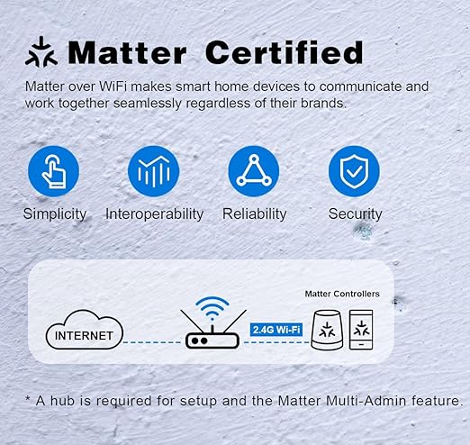 Smart in-Wall Outlet, Matter Smart Socket, 15A Smart Charger, Voice Control - Image 2
