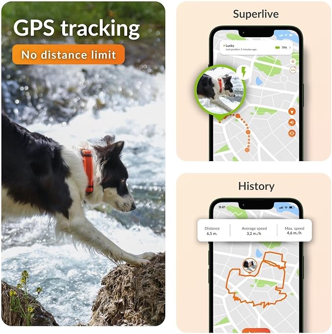 Weenect Dog XT - New GPS Collar - Image 3