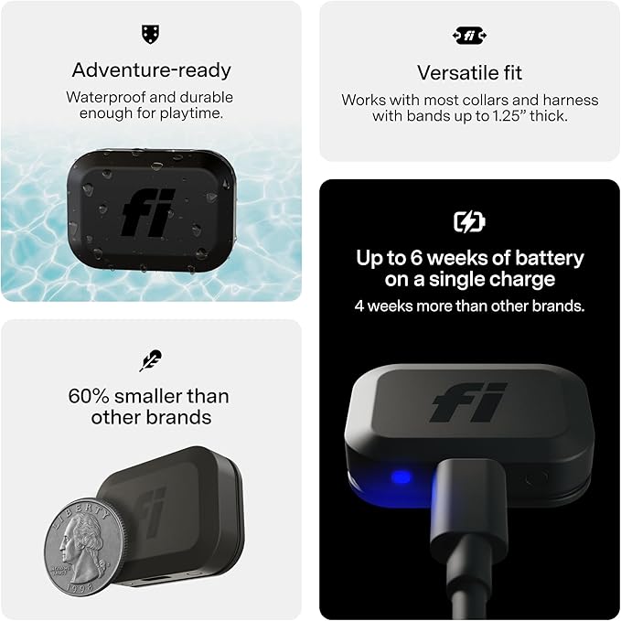 Fi Mini GPS Tracker for Dogs — 6-Month Membership Included — Smart Pet Tracking - Image 6