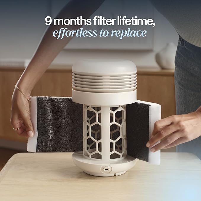 BLUEAIR Purifier for Bedroom - Image 10