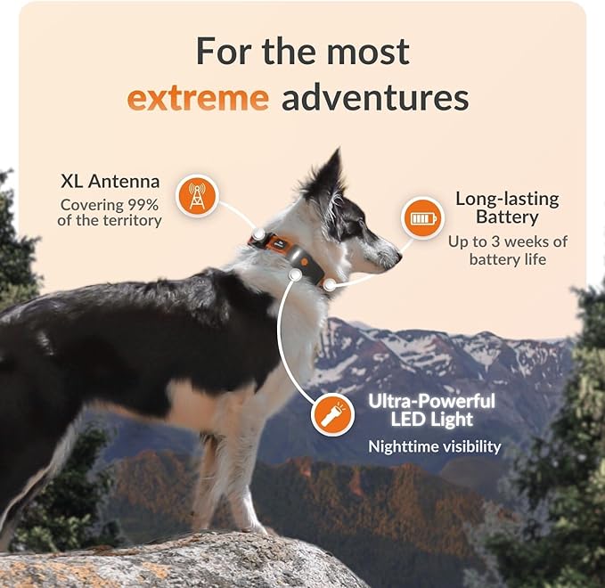 Weenect Dog XT - New GPS Collar - Image 2