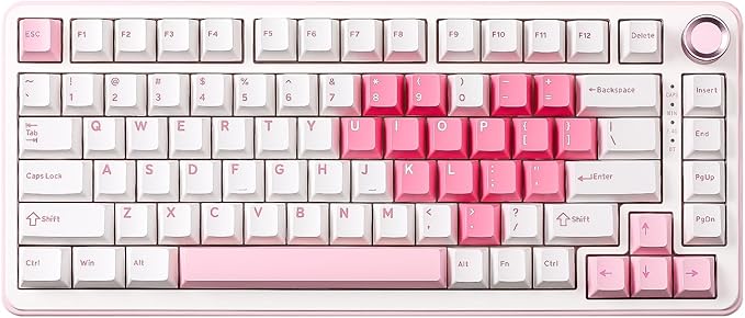 YUNZII B75 PRO Wireless Mechanical Keyboard, 75% Layout by YUNZIIMECHANICALKEYBOARD