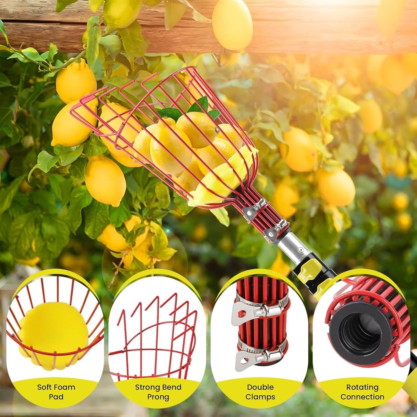 Fruit Picker with Basket, Apple Picking Tool Telescoping Pole