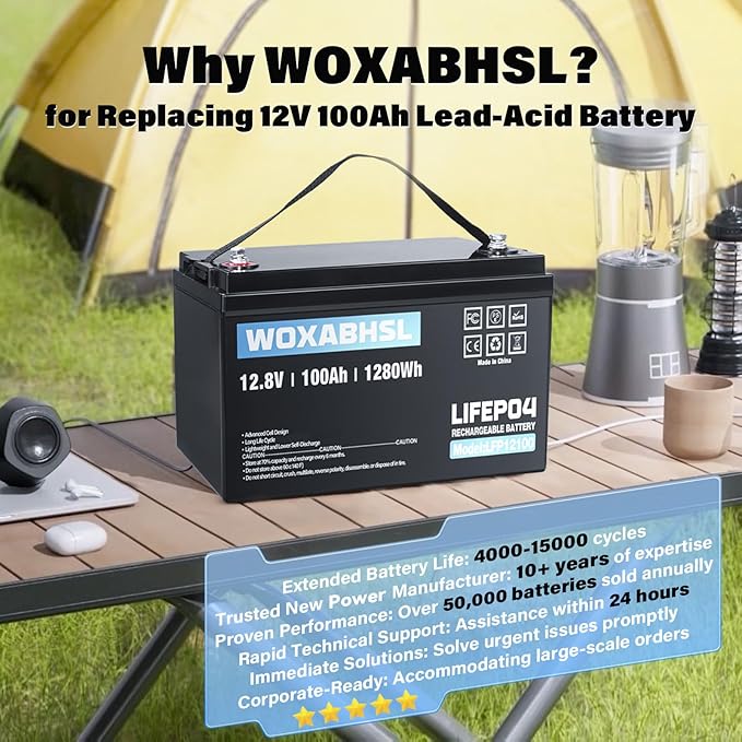 WOXABHSL 2PCS 12V 100Ah LiFePO4 Lithium Battery, Built-in 100A BMS, 15000+ Deep - Image 6