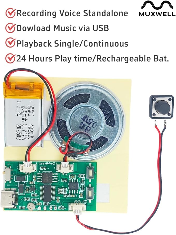 2pcs DIY Audio Recorder and Player kit, Record standalone or Download Music via - Image 2
