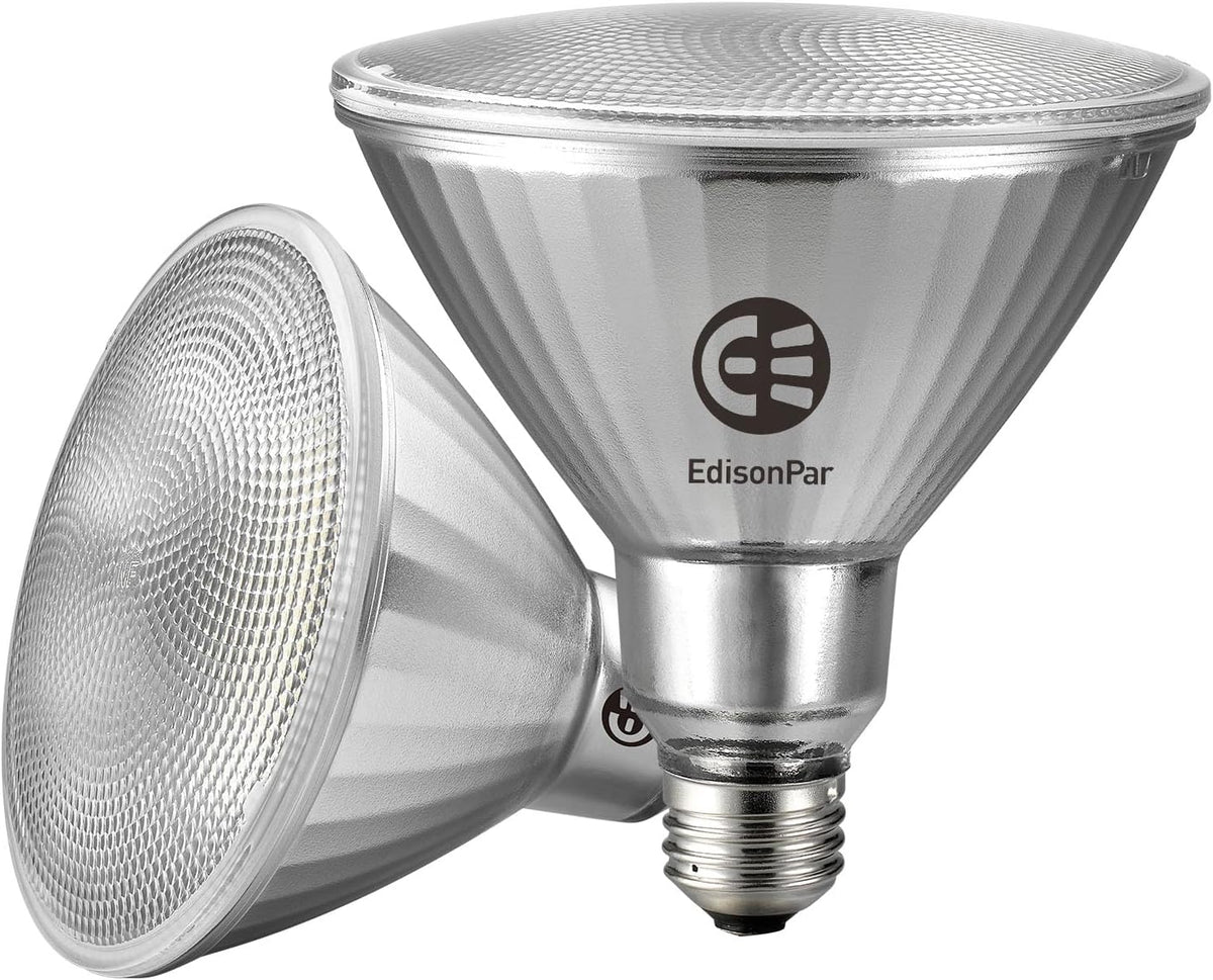EdisonPar Full-Glass PAR38 LED Flood Light Bulbs Outdoor/Indoor Equivalent 300