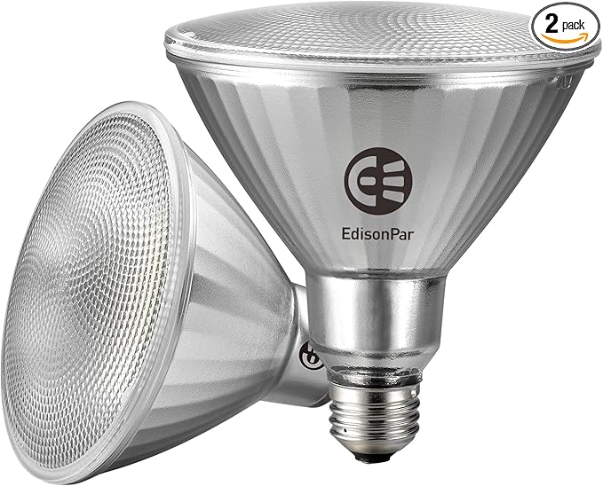 EdisonPar Full-Glass PAR38 LED Flood Light Bulbs Outdoor/Indoor Equivalent 300 by Edisonpar