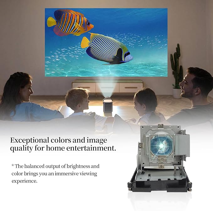 SORNEICDR BL-FU310B / 5811118436-SOT Replacement Projector Lamp Bulb Compatible - Image 5