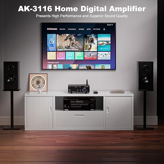 Facmogu AK-3116 HiFi Digital Amplifier, Mini Amp Audio System - Image 2