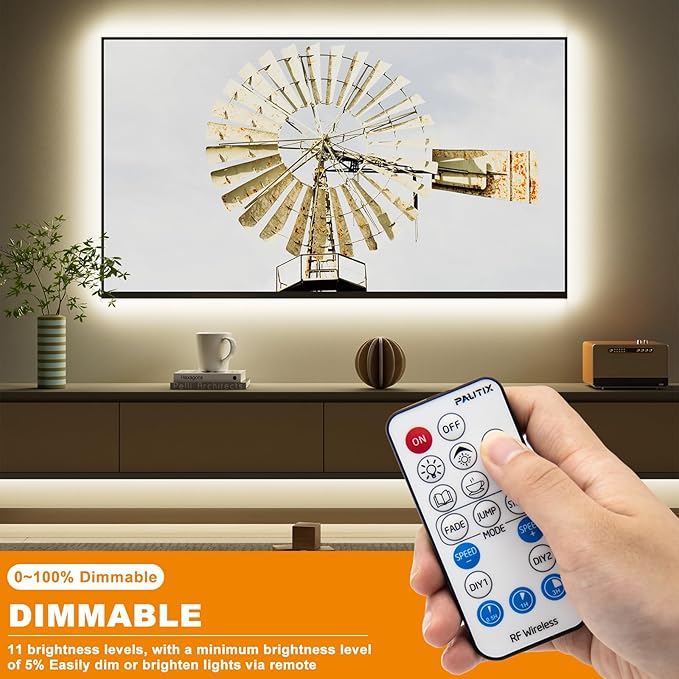PAUTIX 2-Way LED Dimmer Controller - Image 4