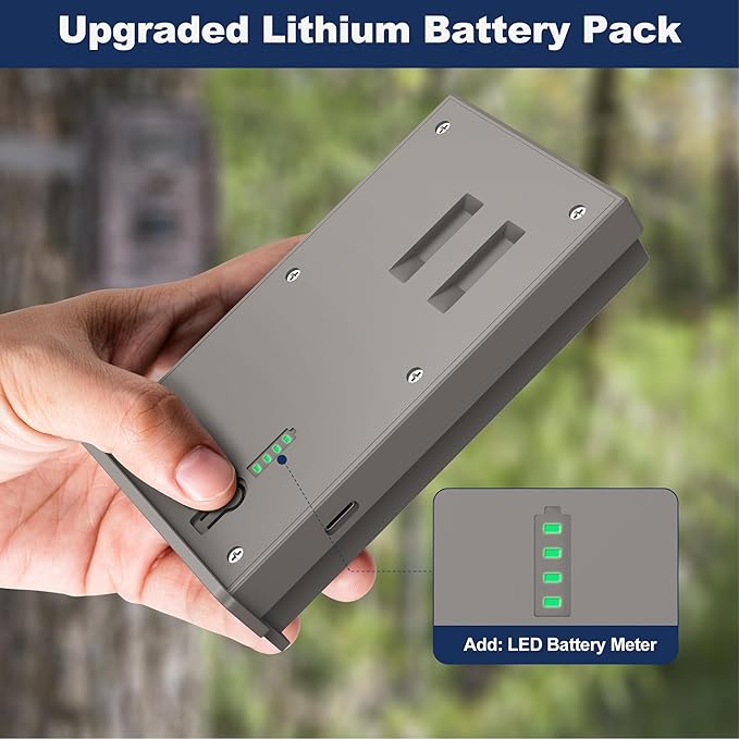 Lesaps 1Pack Rechargeable Reveal Lipo Lithium Battery Pack - Image 4
