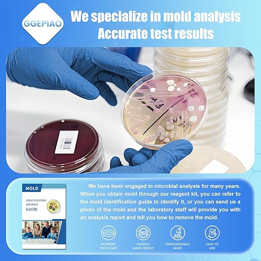 Mold Test Kit for Home, 7 Simple Detection Tests, Test HVAC System, Home - Image 2