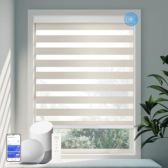 COOLWINDS Motorized Zebra Blinds by Home