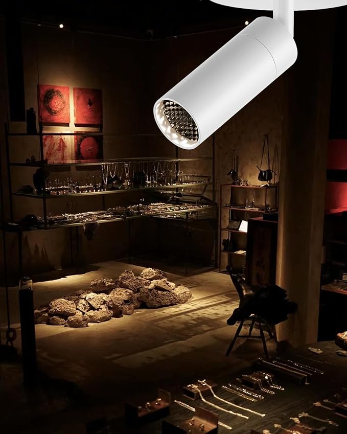 Gpaillumic Zoomable LED Ceiling Spotlight Fixture, Flush Mount Adjustable by Gpaillumic