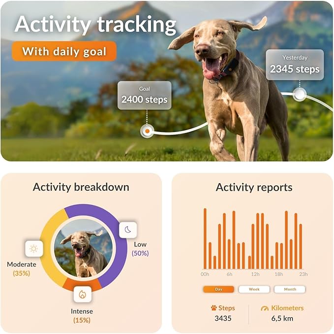 Weenect Dog XT - New GPS Collar - Image 4