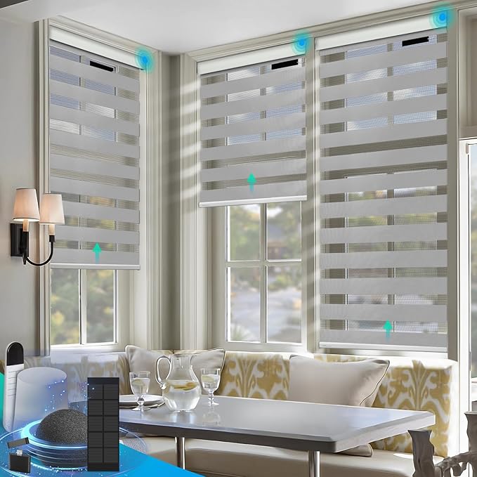 DENFOON Motorized Zebra Blinds, Solar Powered Dual Layer Automatic Shades by DENFOON