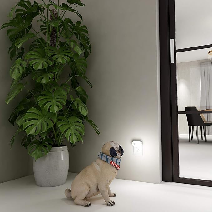 Lyridz Plug in Night Light - Image 9