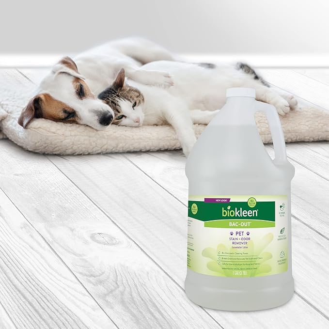 Biokleen Bac-Out Pet Stain Remover - Image 8