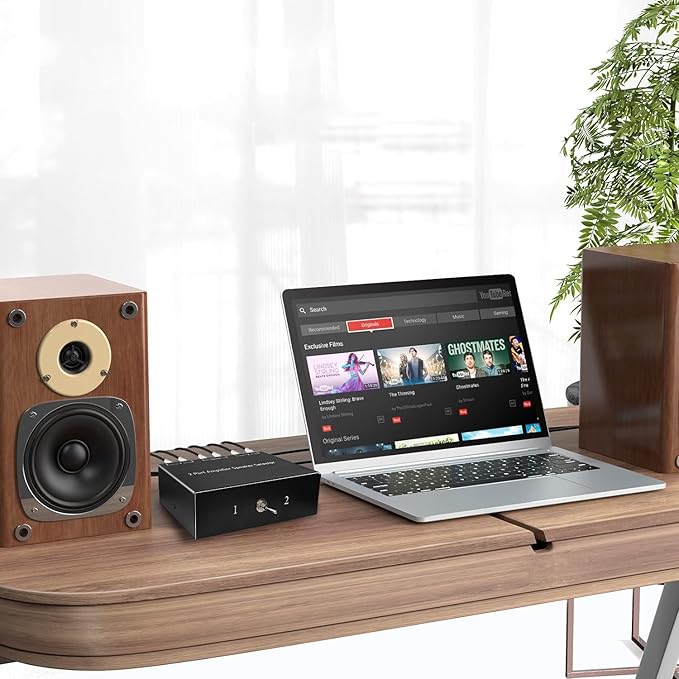 2-Way Audio Switcher Can Support Two Amplifiers, One Audio or One Amplifier - Image 4
