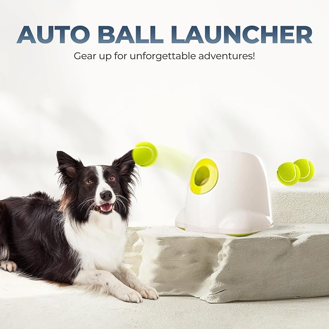ALL FOR PAWS Automatic Ball Launcher for Dogs Interactive Puppy Pet Ball - Image 9