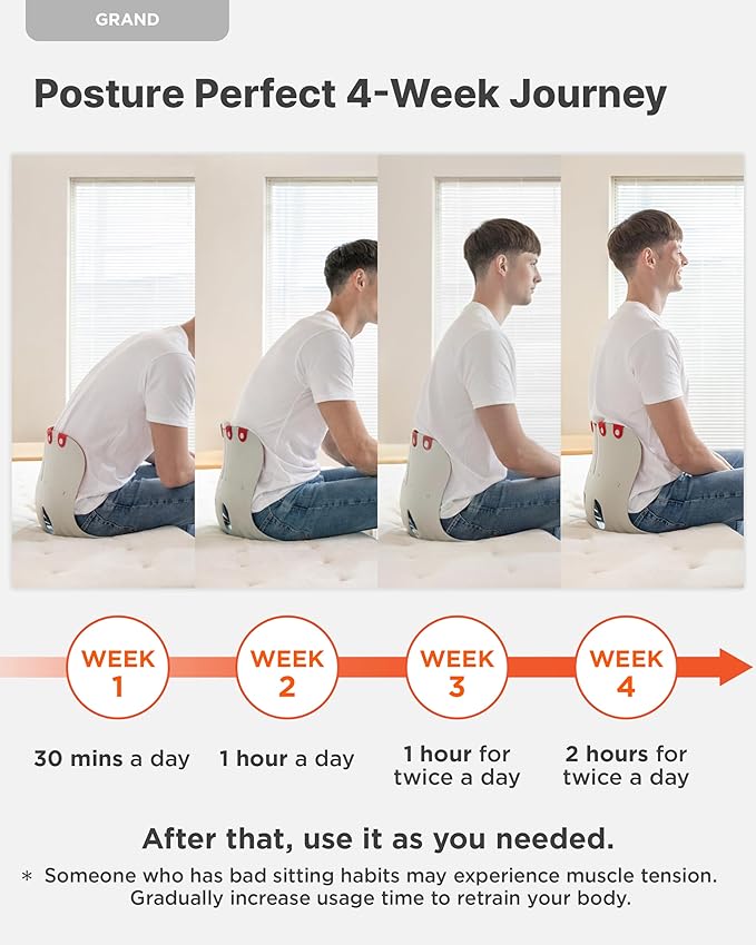 curble Grand – Ergonomic Back and Lumbar Support - Image 4