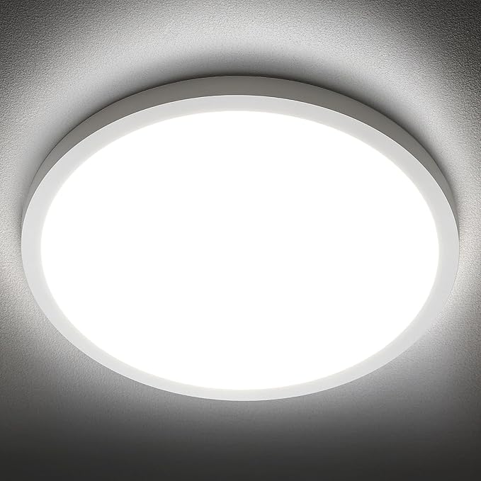 SunRider LED Flush Mount Ceiling Light Fixture, 5000K Daylight White, 12 Inch by SunRider