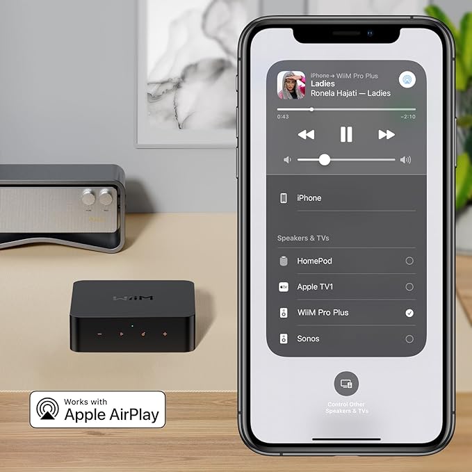 WiiM Pro Plus AirPlay 2 Receiver, Google Cast Audio, Voice Remote, Works - Image 3