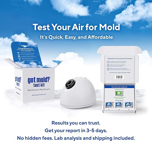3 ROOM KIT | Test Your Air! Professional Quality Mold Test Kit - Image 2