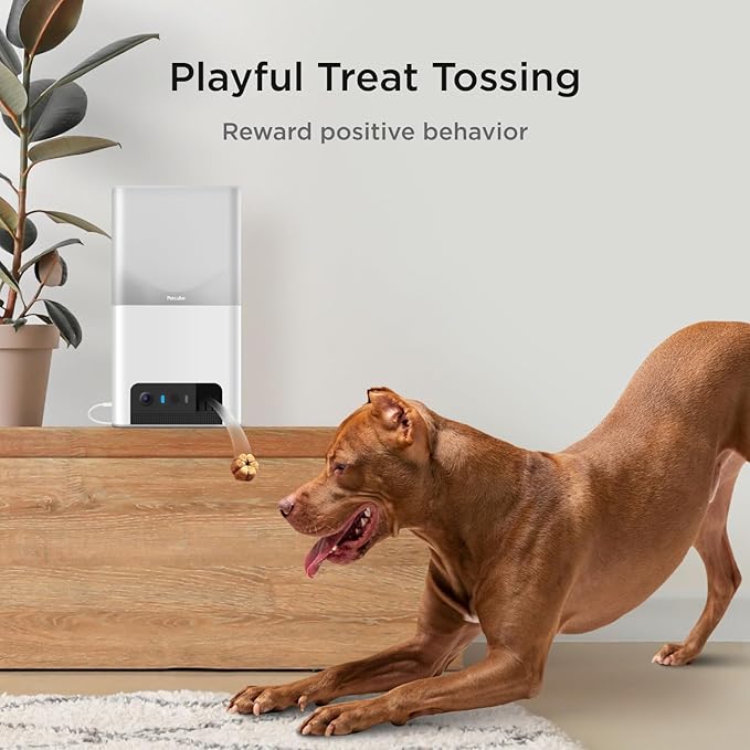 Petcube Bites 2 Lite Interactive WiFi Pet Monitoring Camera - Image 3