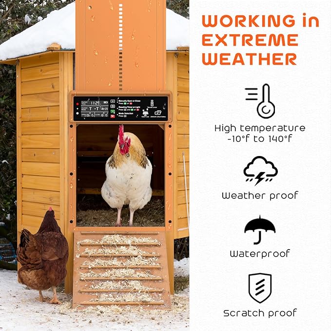 Asfrost Automatic Chicken Coop Door Solar Powered Automatic Chicken Door - Image 4