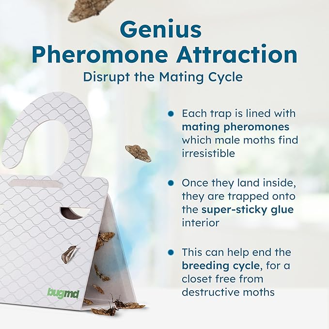 BugMD Clothes & Pantry Moth Traps – Sticky Glue Pheromone-Based Repellent - Image 7