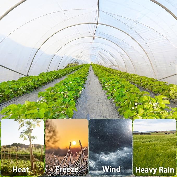 Greenhouse Plastic Sheeting, 6 Mil 13×26ft Clear Greenhouse Film, Heavy Duty - Image 6