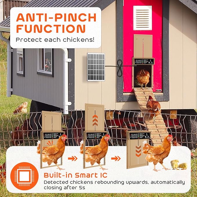 Asfrost Automatic Chicken Coop Door Solar Powered Automatic Chicken Door - Image 3
