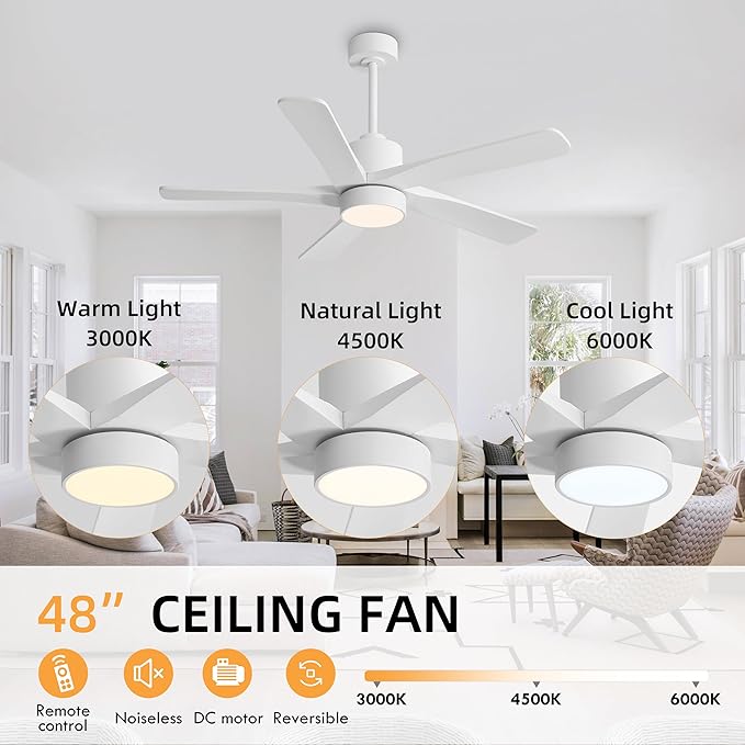 WINGBO 48 Inch DC Ceiling Fan - Image 5